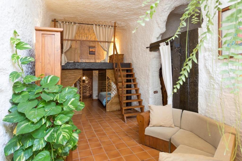 Live Socorro Cave Villa Güímar Exterior foto